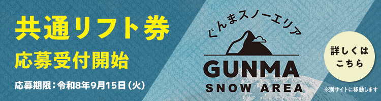 ぐんまスノーエリア共通リフト券