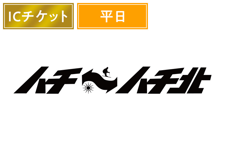 ハチ高原　ハチ北高原　共通平日1日リフト券　12枚