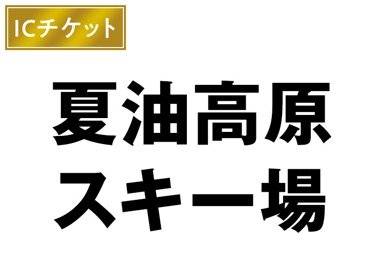 【大人】夏油高原スキー場【ICカード】実質￥5，3001日券 【全営業日】