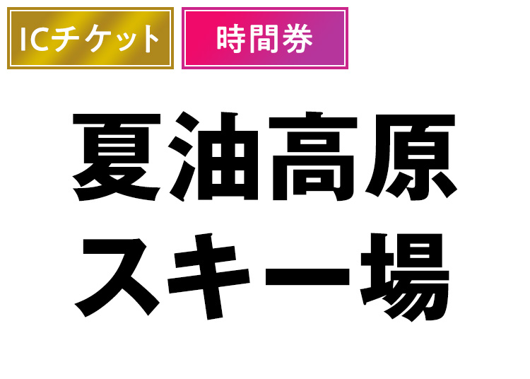 ⑳《20時間》夏油高原スキー場【ICカード】実質￥23，800【全年齢】時間券 【全営業日】 20時間券