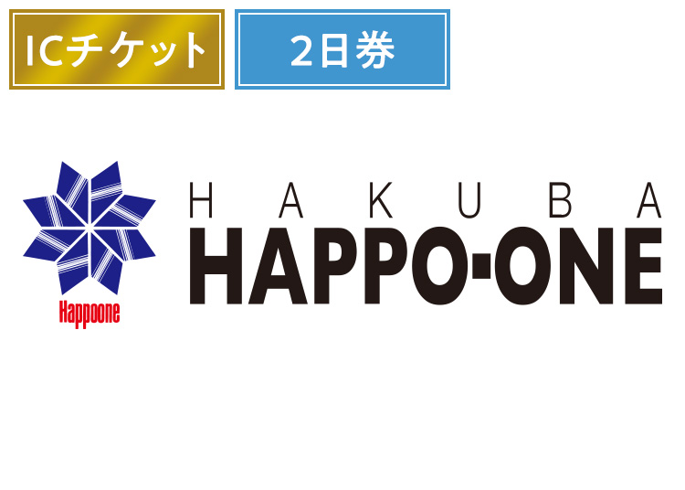 《2日券》【大人】白馬八方尾根スキー場【ICカード】【全営業日】