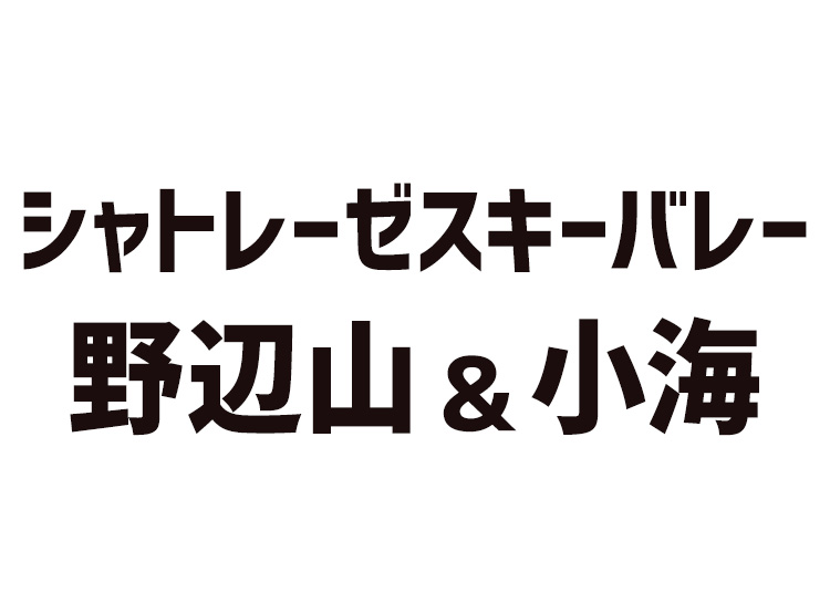 【大人】シャトレーゼスキーバレー野辺山＆小海【紙引換券】1日券 【全営業日】