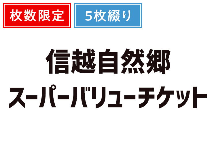 信越自然郷スーパーバリューチケット《数量限定》【紙引換券】【全年齢】1日券 ×5枚綴り 【全営業日】