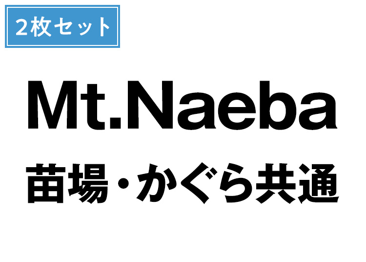 【大人】Mt.Naeba（苗場・かぐら共通）【紙引換券】【全営業日】 共通1日券×2回券