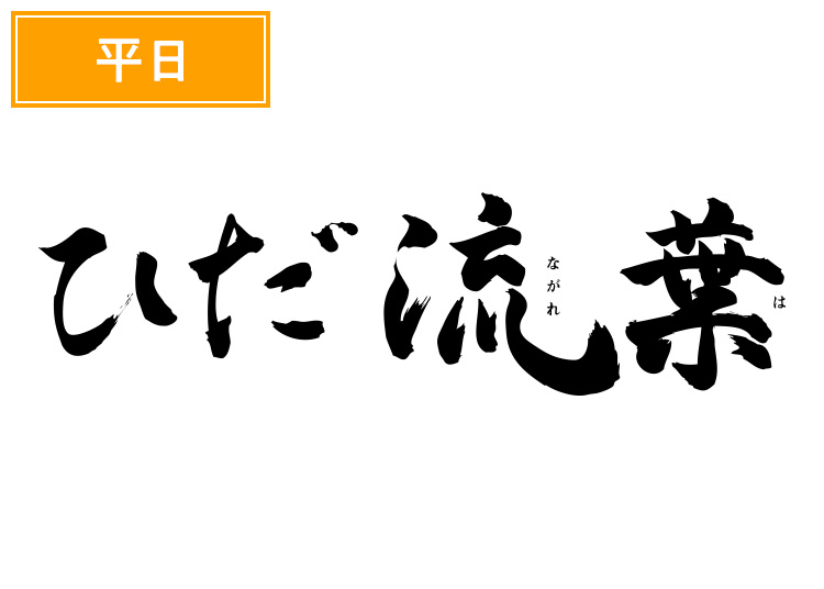 D《平日》【大人】ひだ流葉スキー場【紙引換券】1日券