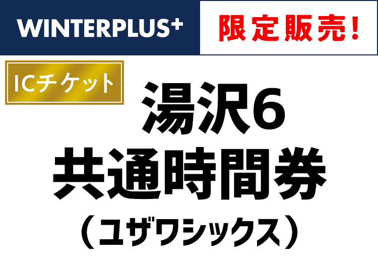 ⑩【大人】湯沢6（ユザワシックス）【ICカード】時間券【全営業日】10時間