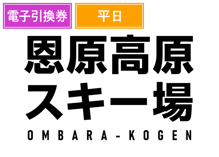 《平日前売》【大人】恩原高原スキー場【電子チケット】1日券 【平日限定】