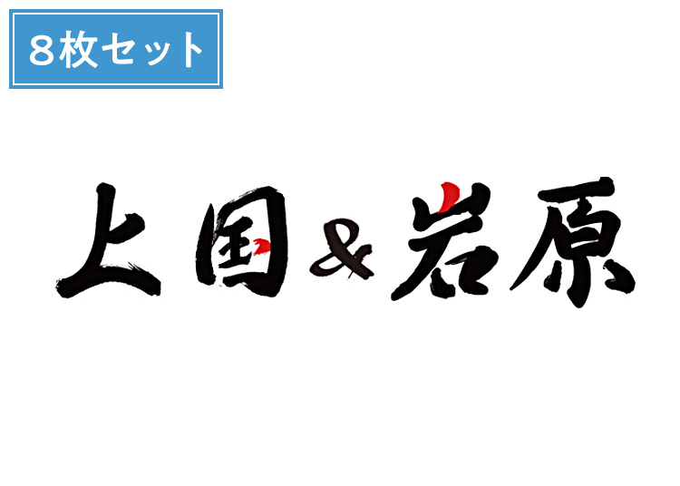 ⑧≪超早割≫1日入場券+8枚セット【大人】上国&岩原【紙引換券】1日券 複数枚（綴り） 【特定期間】 中学生以上 ※10月限定販売