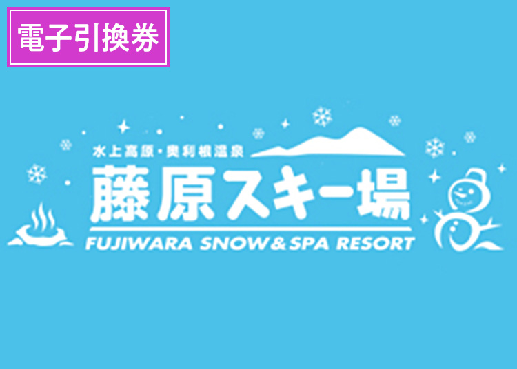 《早割》【大人】水上高原藤原スキー場【電子引換券】1日券 【全営業日】 中学生以上