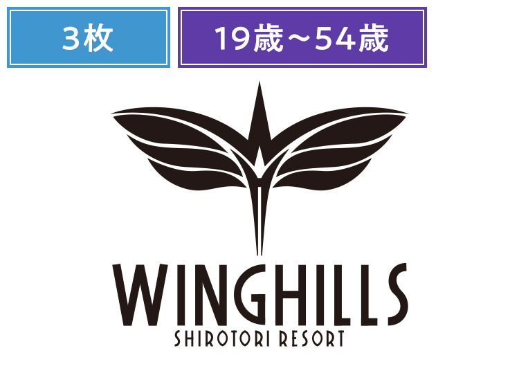 ③《超早割セット》【大人】ウイングヒルズ白鳥リゾート【紙引換券】※10-11月限定価格1日券 複数枚（綴り） 【全営業日】 19歳～54歳 ×3枚セット