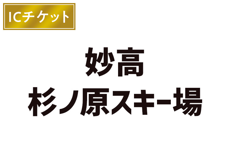 【大人】妙高杉ノ原スキー場【ICカード】1日券 【全営業日】 中学生以上