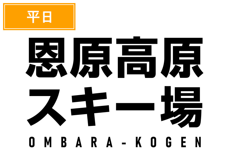 《平日》【大人】恩原高原スキー場【紙引換券】1日券 【平日限定】 高校生以上
