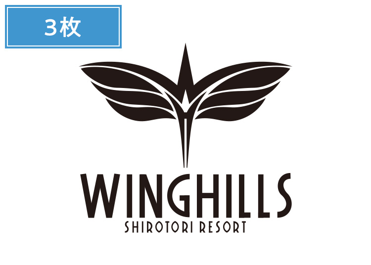 ③《早割セット》【大人】ウイングヒルズ白鳥リゾート【紙引換券】1日券 複数枚（綴り） 【全営業日】 19才以上 ×3枚セット