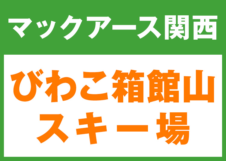 《関西6》【大人】びわこ箱館山スキー場★W9K11【紙引換券】1日券 【全営業日】 全年齢
