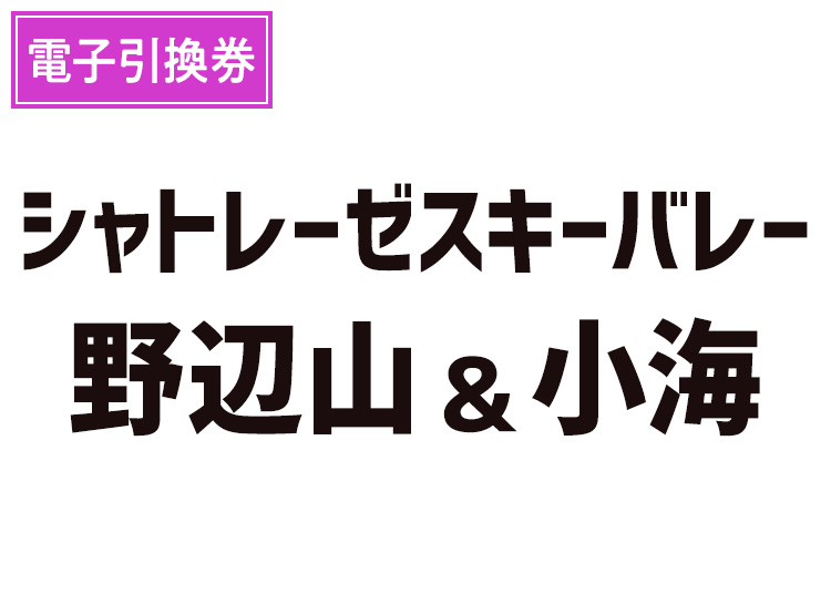 【大人】シャトレーゼスキーバレー野辺山＆小海【電子引換券】1日券 【全営業日】 高校生～59歳