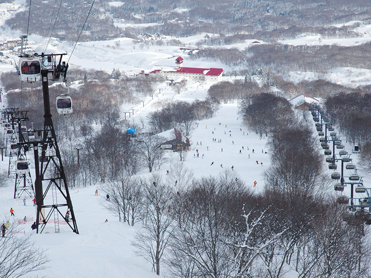 赤倉観光リゾートスキー場|ウィンタースポーツのポータルサイトWINTER PLUS