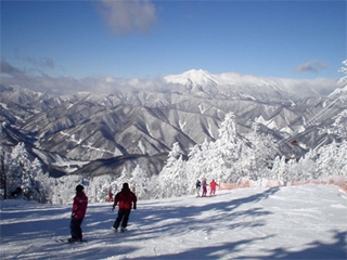 信州松本 野麦峠スキー場|ウィンタースポーツのポータルサイトWINTER PLUS